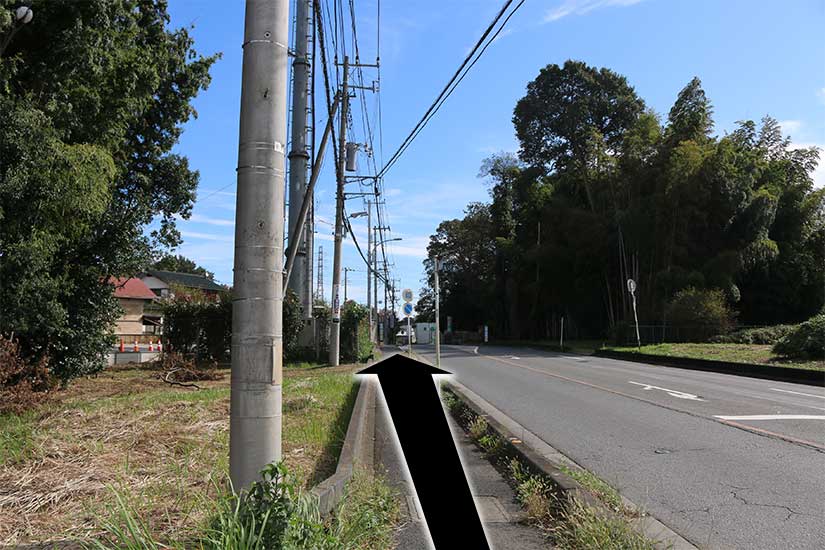 この通りを直進します